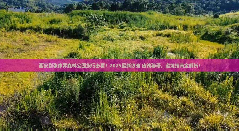 西安到张家界森林公园旅行社