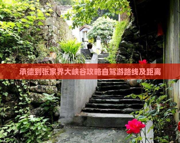 承德到张家界大峡谷攻略