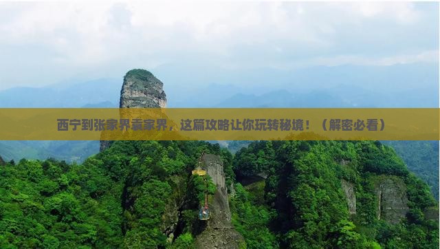 西宁到张家界袁家界旅行社