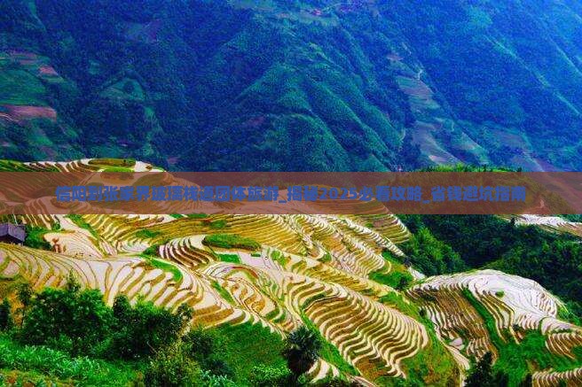 信阳到张家界玻璃栈道团体旅游