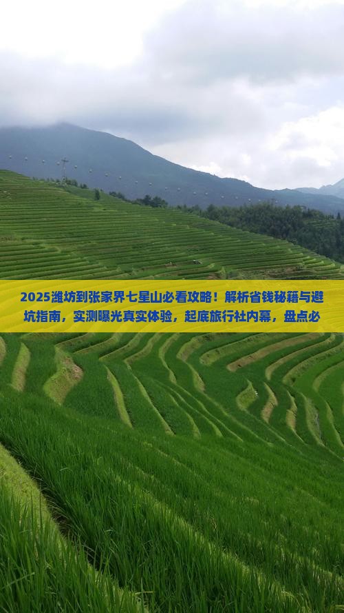 潍坊到张家界七星山旅行社