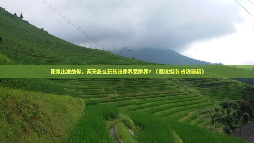 阳泉到张家界袁家界二日游