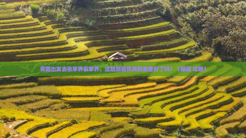 贵阳去张家界袁家界必去地