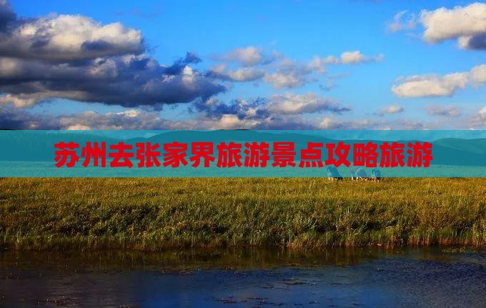 苏州去张家界森林公园哪里玩