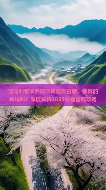 沈阳到张家界玻璃栈道五日游