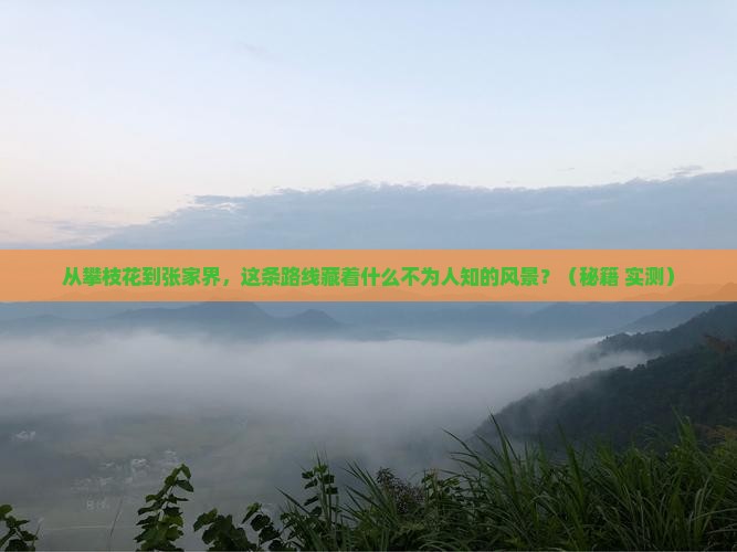 攀枝花到张家界旅游