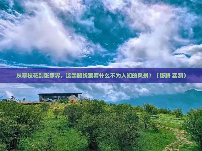 攀枝花到张家界旅游