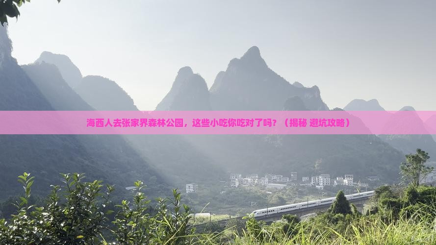 海西去张家界森林公园旅游小吃