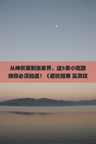 神农架去张家界旅游小吃
