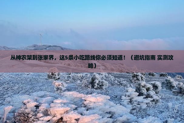 神农架去张家界旅游小吃