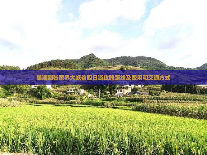 巢湖到张家界大峡谷四日游