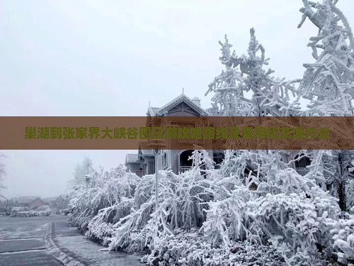 巢湖到张家界大峡谷四日游