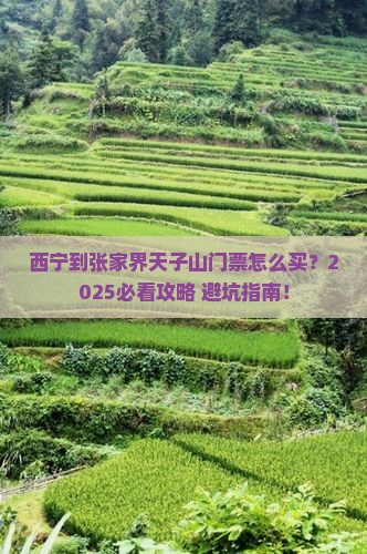 西宁到张家界天子山门票