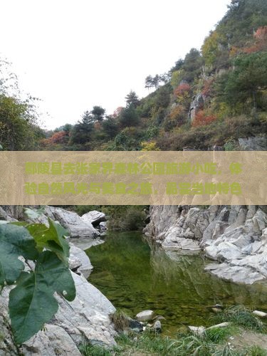 鄢陵县去张家界森林公园旅游小吃