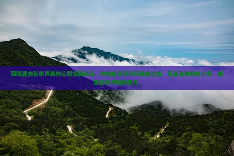 鄢陵县去张家界森林公园旅游小吃