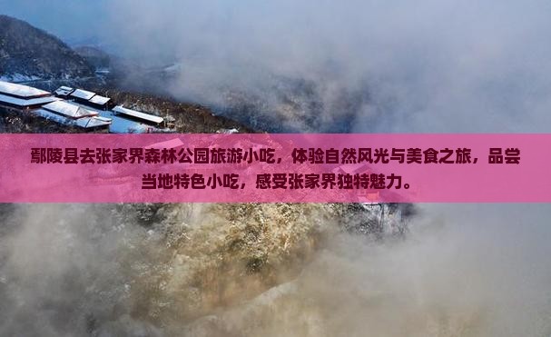 鄢陵县去张家界森林公园旅游小吃