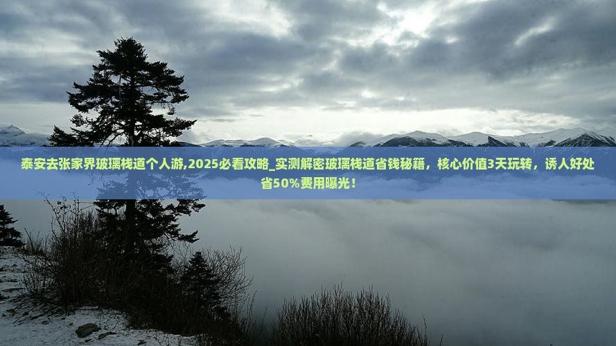 泰安去张家界玻璃栈道个人游