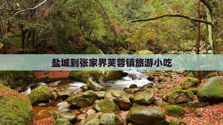 盐城到张家界芙蓉镇旅游小吃