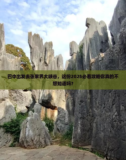 巴中去张家界大峡谷景点