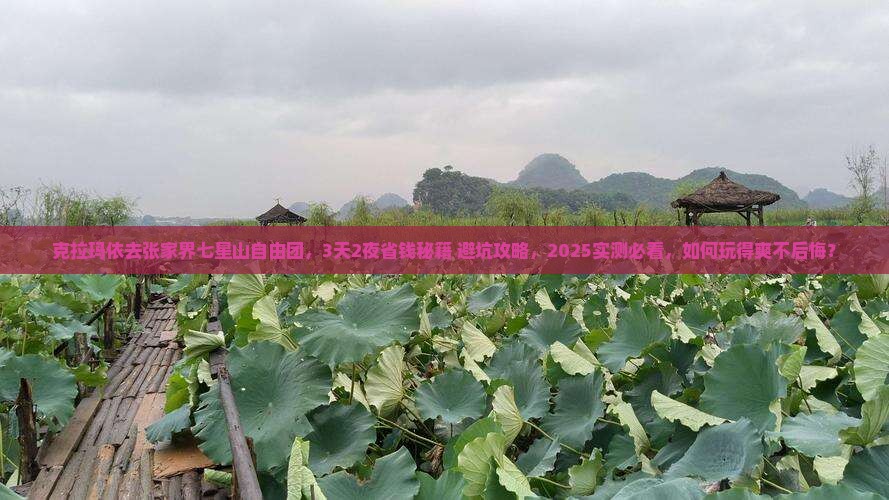 克拉玛依去张家界七星山自由团