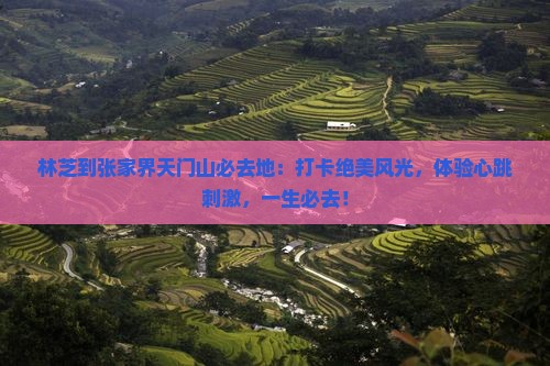 林芝到张家界天门山必去地