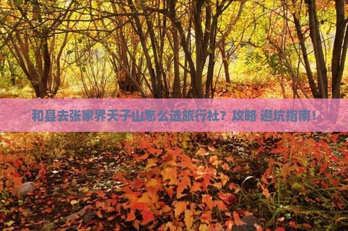 和县去张家界天子山旅行社 和县去张家界天子山旅行社