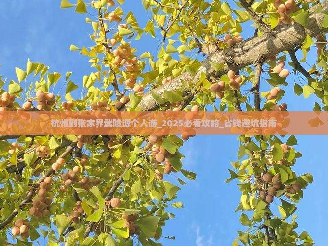 杭州到张家界武陵源个人游