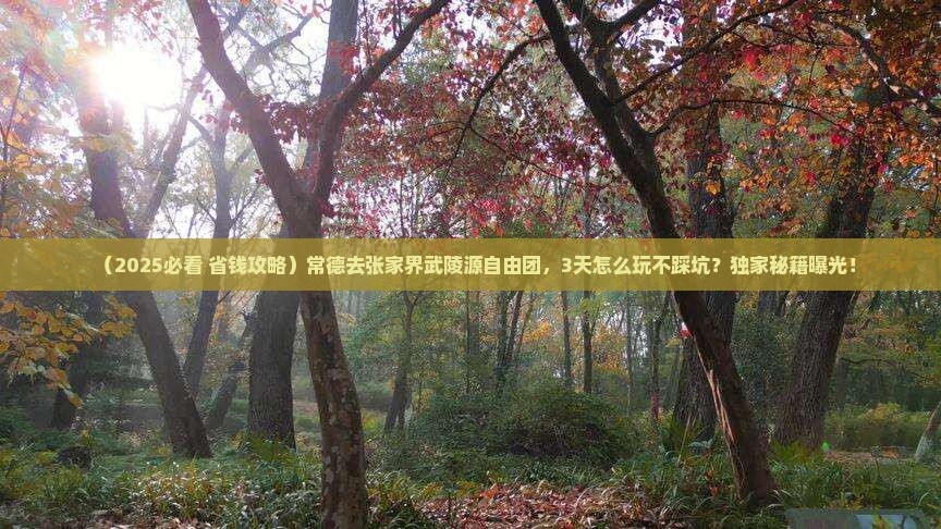 常德去张家界武陵源自由团