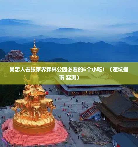 吴忠去张家界森林公园旅游小吃