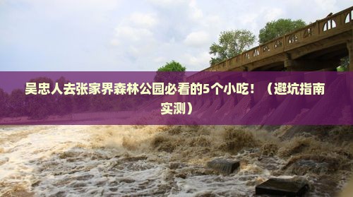吴忠去张家界森林公园旅游小吃