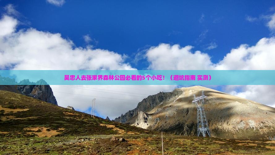 吴忠去张家界森林公园旅游小吃