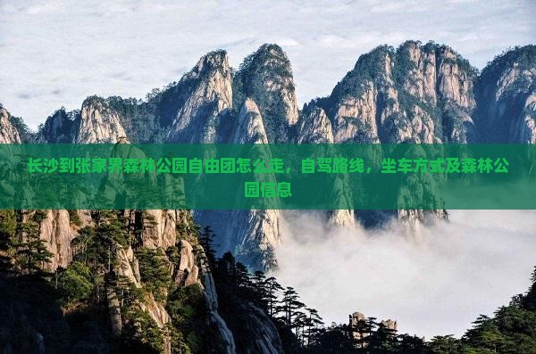 长沙到张家界森林公园自由团