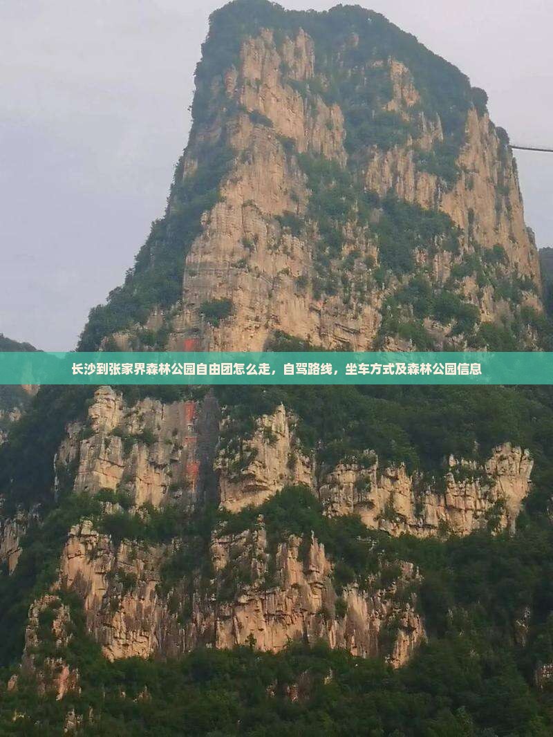 长沙到张家界森林公园自由团