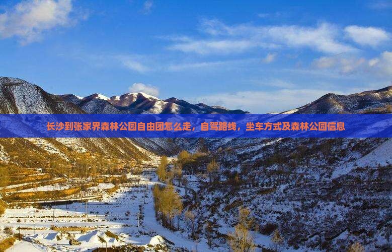 长沙到张家界森林公园自由团