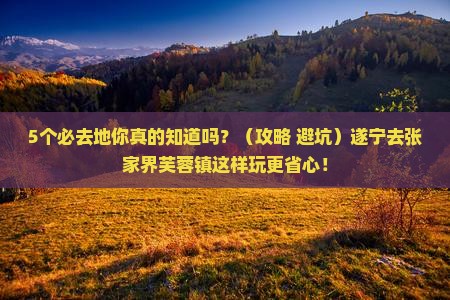 遂宁去张家界芙蓉镇必去地