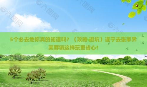 遂宁去张家界芙蓉镇必去地
