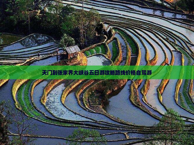 天门到张家界大峡谷五日游
