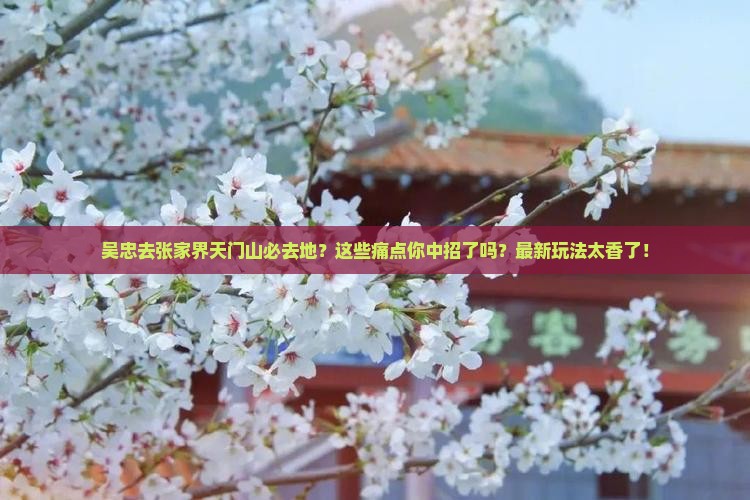 吴忠去张家界天门山必去地