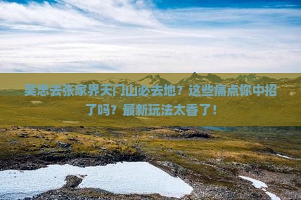 吴忠去张家界天门山必去地