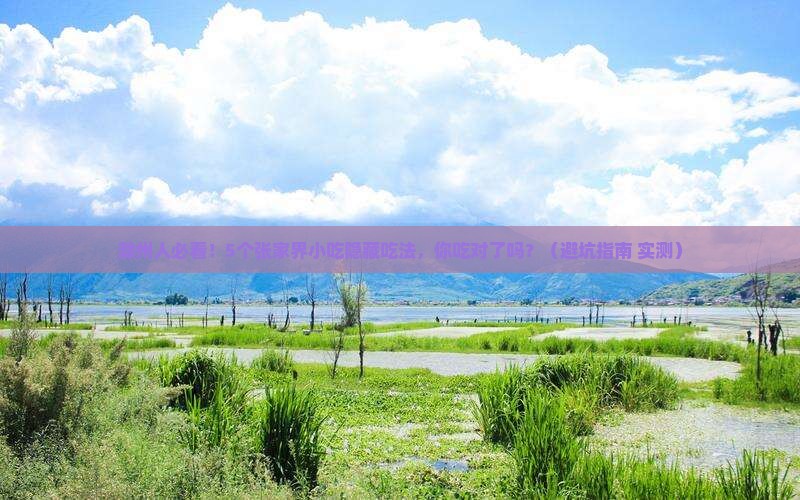 滁州去张家界旅游小吃