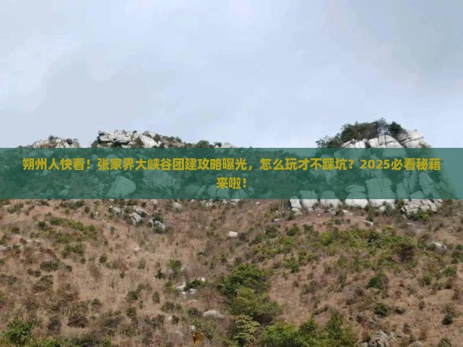 朔州去张家界大峡谷团体旅游 朔州去张家界大峡谷团体旅游