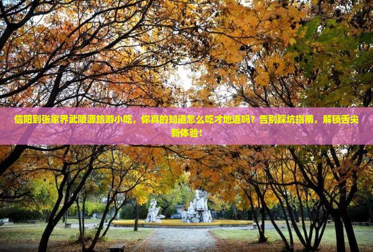 信阳到张家界武陵源旅游小吃
