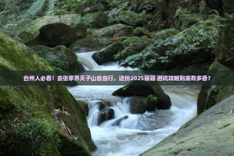 台州去张家界天子山自由行