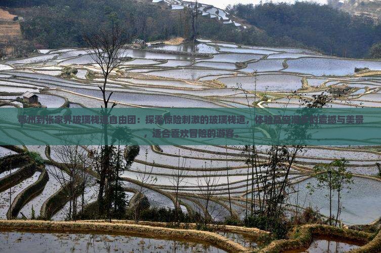鄂州到张家界玻璃栈道自由团