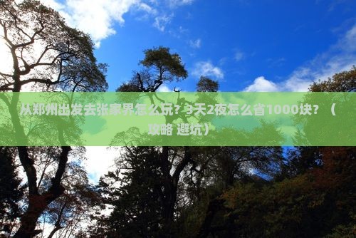 周口到张家界天子山个人游
