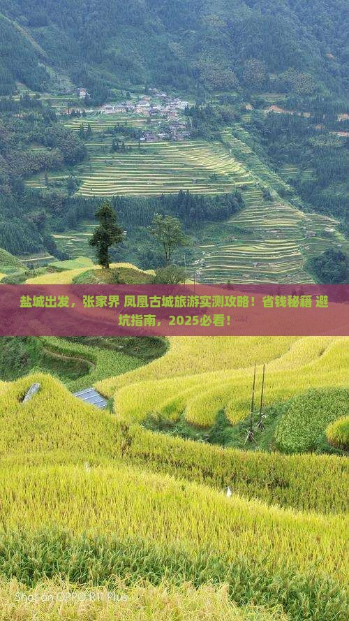 盐城去张家界凤凰古城旅游