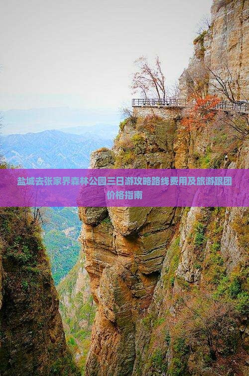 盐城去张家界森林公园三日游