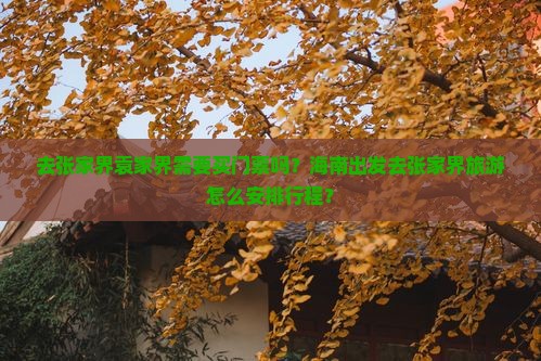 海南去张家界袁家界门票