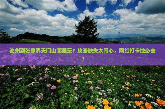 池州到张家界天门山哪里玩