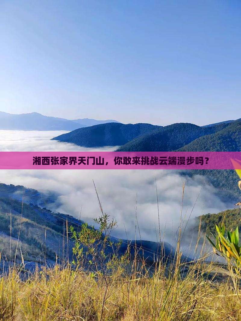 湘西去张家界天门山攻略